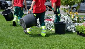 Nettoyage des espaces verts aux Mureaux